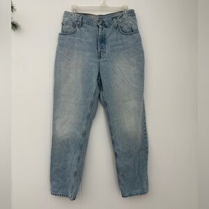 Everlane curvy 90s cheeky Street Jean organic cotton 32 regular
